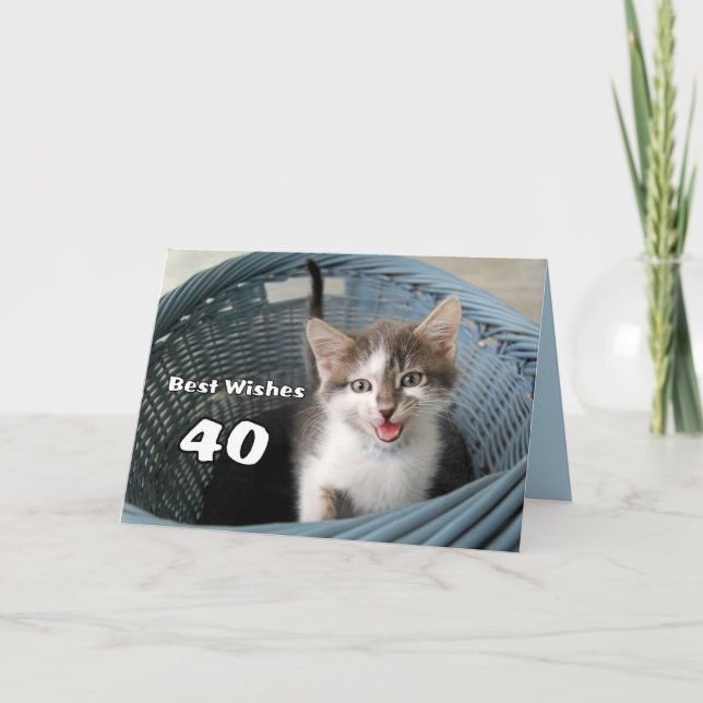 40. Geburtstag Crazy Kitten Karte (Vorderseite)