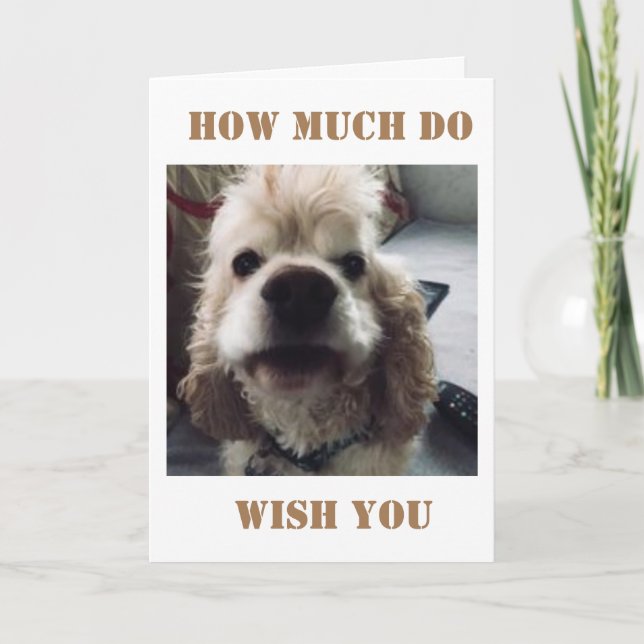 **40. GEBURTSTAG** WOOF WOOF SAGT SPANIEL KARTE (Vorderseite)