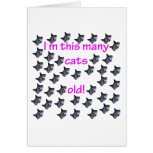 40 Katzen-Köpfe alt