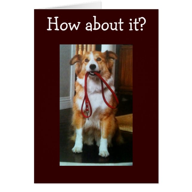 "40" N'EST PAS LA FIN DU MONDE (Devant)