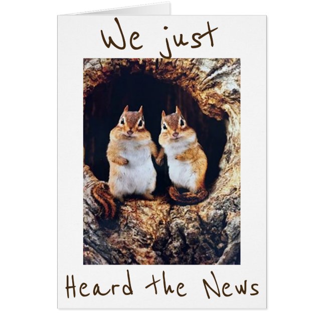 *40* NICHT SCHLECHT...BE *CHIPPER* SAGT CHIPMUNKS (Vorne)