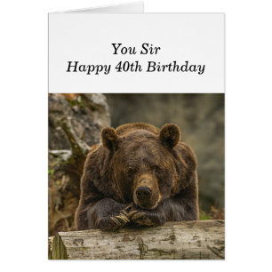 40e Au-dessus de la colline Sérieux regard grizzli