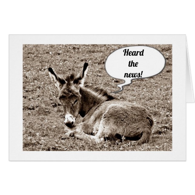 ***40E** CONSEILS D'ANNIVERSAIRE DE BÉBÉ MULE (Devant horizontal)