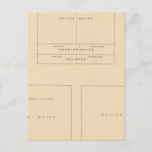 41 Bevölkerungsgruppen 1900 Postkarte
