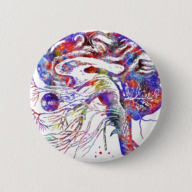 4522bBrain Schädelnerven, Gehirnschädelnerven Button (Vorderseite)