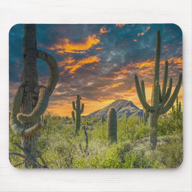 4792-2-Spur Cross Ranch, Höhlengraben, Arizona Mousepad (Vorne)