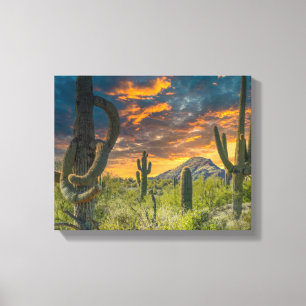 4792-2-Wüste Landschaft bei Sunset Leinwanddruck