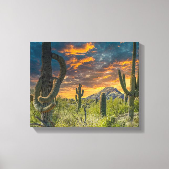 4792-2-Wüste Landschaft bei Sunset Leinwanddruck (Vorderseite)