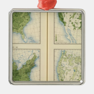 47 Mais 1890 Silbernes Ornament