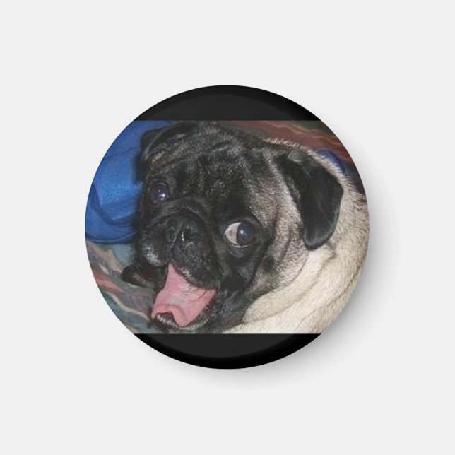 483814433_l magnet (Vorne)