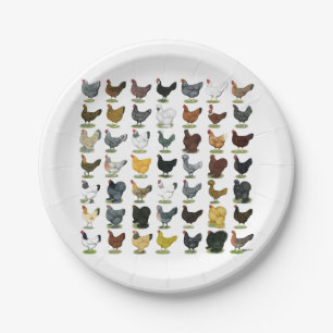 49 Huhn-Hennen Pappteller