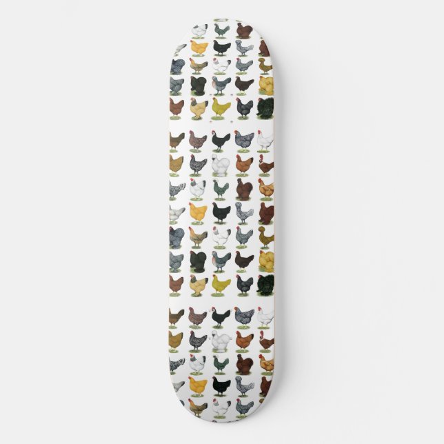 49 Hühnerhennen Skateboard (Vorderseite)