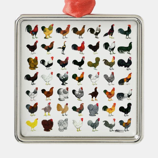 49 Runder Ornament Aus Metall (Vorne)