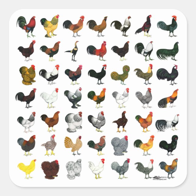 49 Runder Quadratischer Aufkleber (Vorderseite)