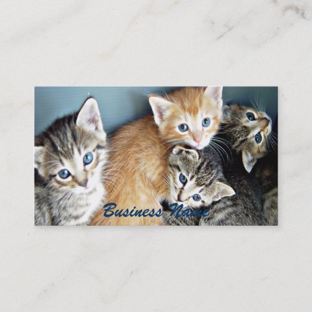 4 blue mit Augen Kitts Business Card Visitenkarte (Vorderseite)