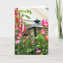 4. Blume Juli - Martha's Vineyard Card