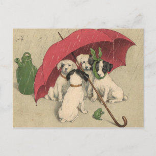 4 Chiens vintages sous carte postale parapluie