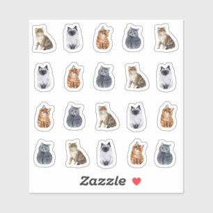 4 Cute Cats 20 Stickers