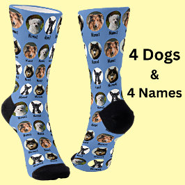 4 Dogs, 4 Names, Dog Photo - Personalized Blue Socken