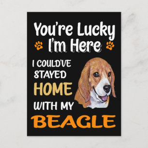 4 Du hast Glück mit meinem Beagle Zuhause Postkarte