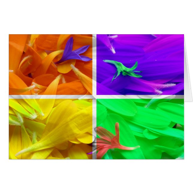 4 fleurs (Devant horizontal)