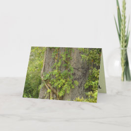 "4 fois ?" Carte de voeux BREAK-UP