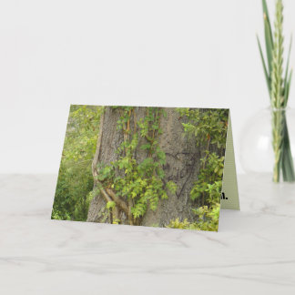 "4 fois ?" Carte de voeux BREAK-UP