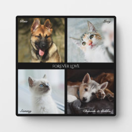 4 Foto Pet Collage, Schwarzer Rahmen, Beschriftung Fotoplatte