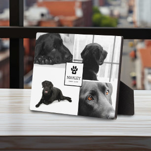 4 Foto Pet Memorial Achtung Fotoplatte