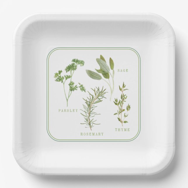 4 FRISCHE HERBS 9" Teller (Vorderseite)
