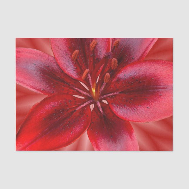 4 Größen von Tissue-Geschenkpapier - Asiatische Li Seidenpapier (Vorderseite)
