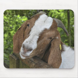 4-H Boer Goat Farm Mousepad
