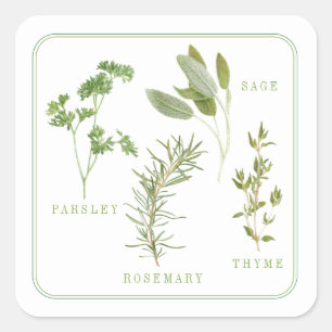 4 HERBES FRAÎCHES Petits Stickers Carrés