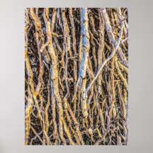 4 Imprimé, Poster Papier (Semi-Gloss)