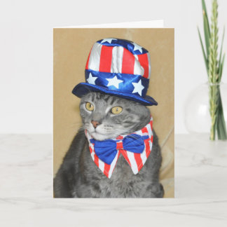 4 juillet carte grise patriotique de chat tigré