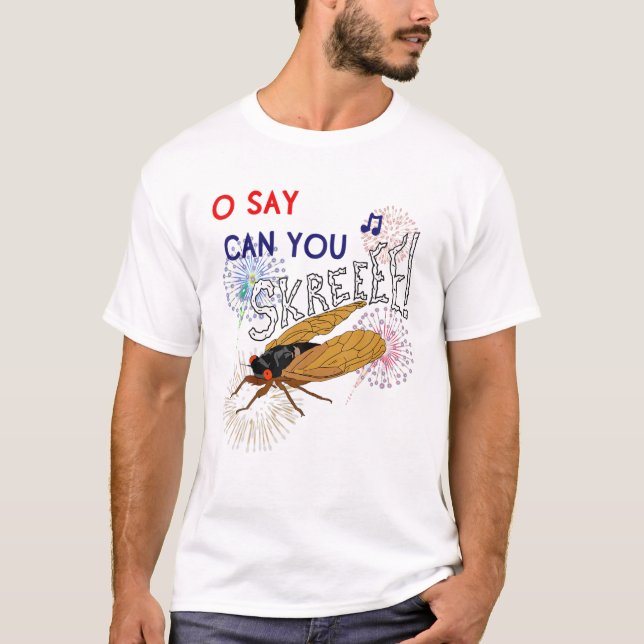 4. Juli 17 Jahre Cicadas Funny Meme Zitat Feuer T-Shirt (Vorderseite)