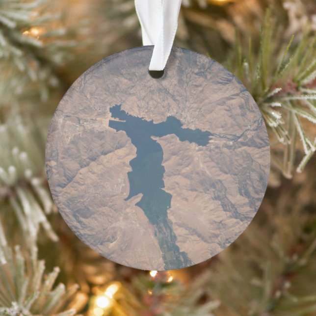 4. Juli 2019 - Isabella-See in Kalifornien. Ornament (Baum)