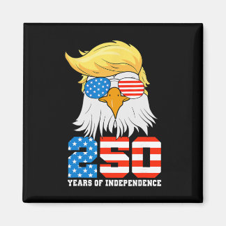 4. Juli Amerikanische Flagge Adler Vintage 250 Jah Magnet