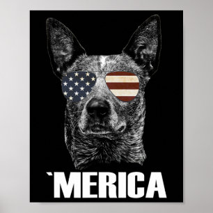 4. Juli Blue Heeler Hund Merica Patriotisch Usa Fl Poster