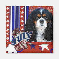 4. Juli - Cavalier - Tri-color