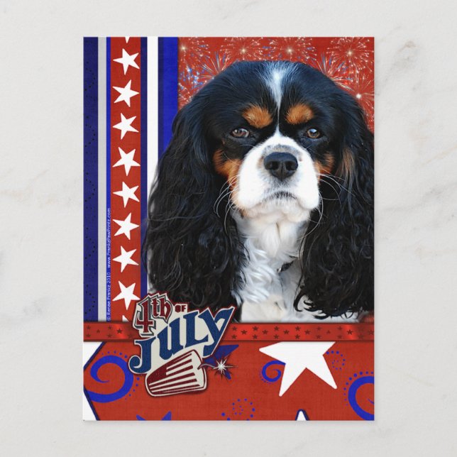 4. Juli - Cavalier - Tri-color Postkarte (Vorderseite)