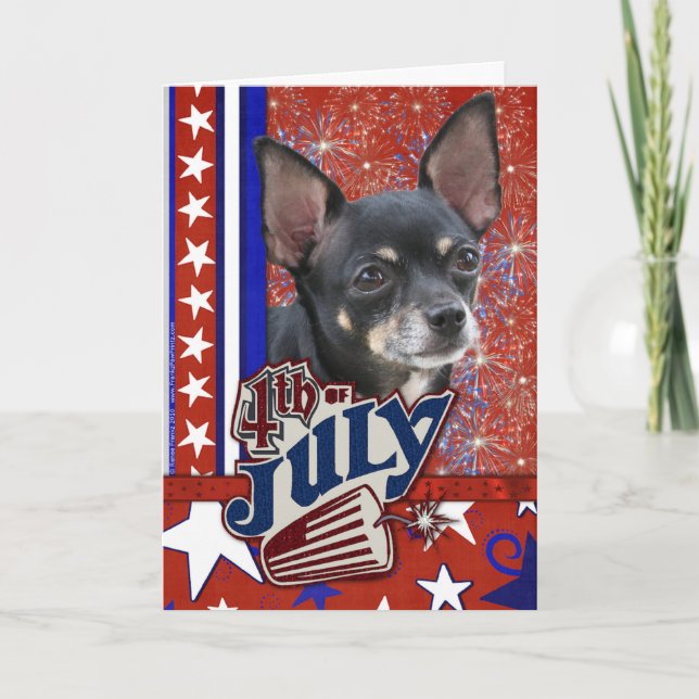 4. Juli Firecracker - Chihuahua Karte (Vorderseite)