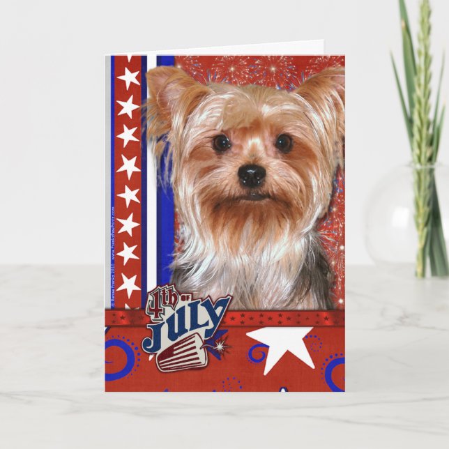 4. Juli Firecracker - Yorkshire Terrier Karte (Vorderseite)