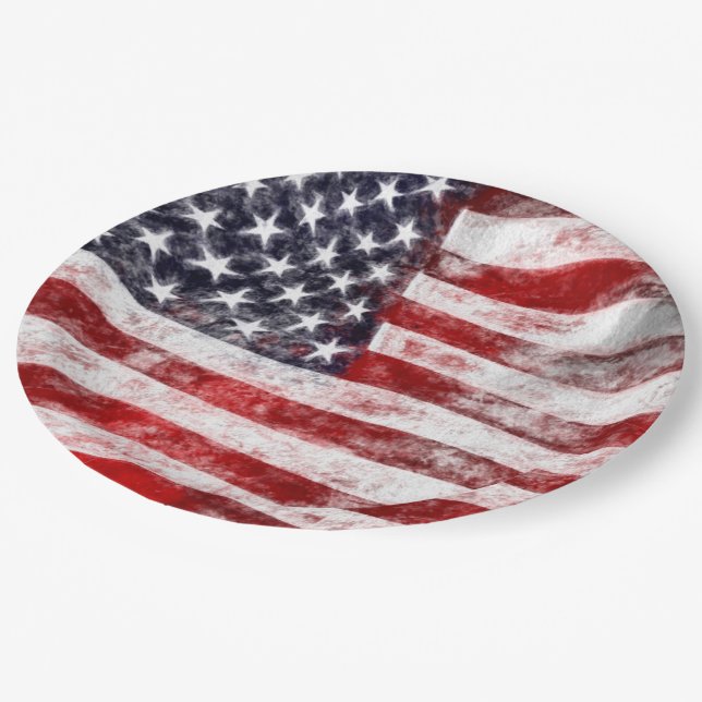 4. Juli Picnic Paper Tellers, American Flag Pappteller (Schrägansicht)