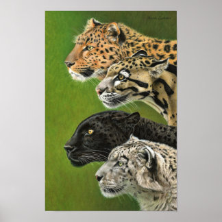 4 Leopards Poster