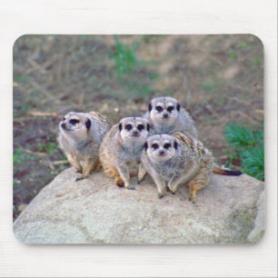 4 Meerkats blickendes Mousepad