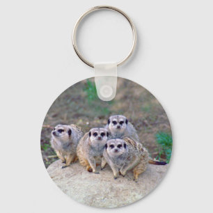 4 Meerkats Peering Schlüsselanhänger