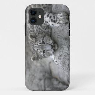 4 Monate altes Schneeleopardenjunges liegt auf ein Case-Mate iPhone Hülle