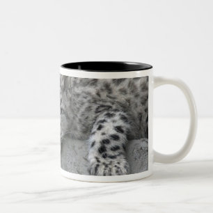 4 Monate altes Schneeleopardenjunges liegt über ei Zweifarbige Tasse