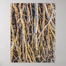 4 Print, Poster Paper (Halbglanz)